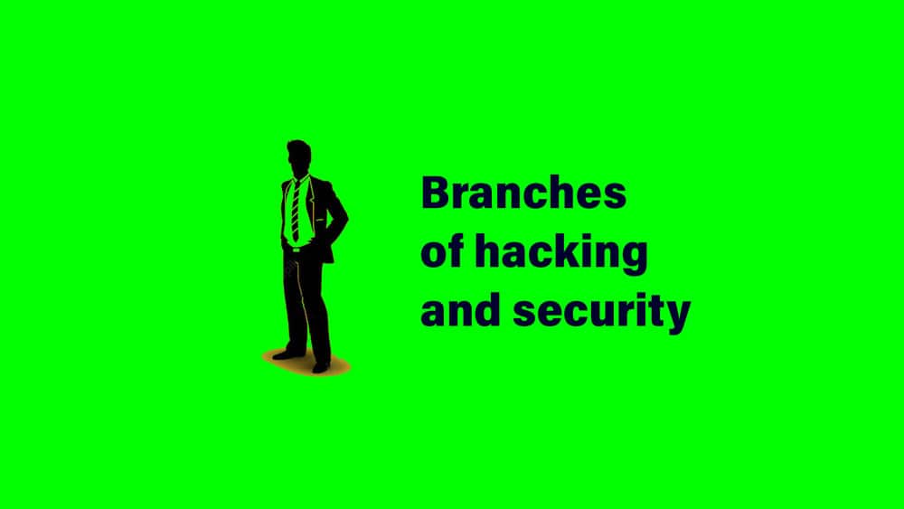 Branches of hacking and security