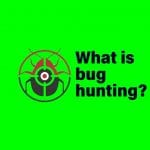 bug bunty and bug hunting
